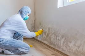 Best Mold Remediation for Healthcare Facilities  in Miamisburg, OH